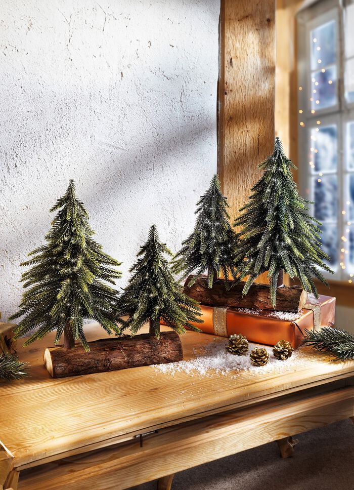 Dennenboom op boomstam 