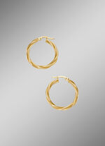 Gedraaide oorringen in hoogglans 