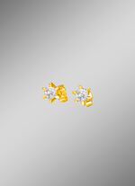 Prachtige solitaire oorknopjes 