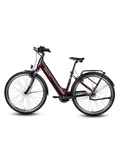 E-bike Comfort Plus 5.0 van Saxonette 