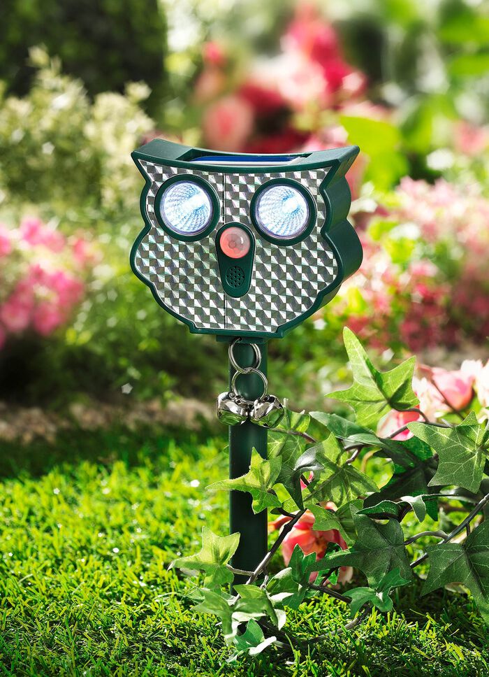 Ultrasoon dierenafschriksysteem op zonne-energie uil 