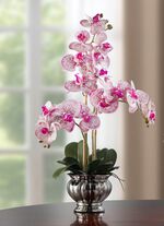 Kleurrijke orchidee in een pot ROZE