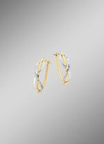 Creolen in twee kleuren 