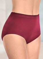 brio lingerie vijf-pack slips met elastische boorden 