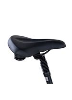 E-bike Comfort Plus 5.0 van Saxonette 