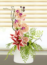 Charmant orchideeënarrangement in een vaas 