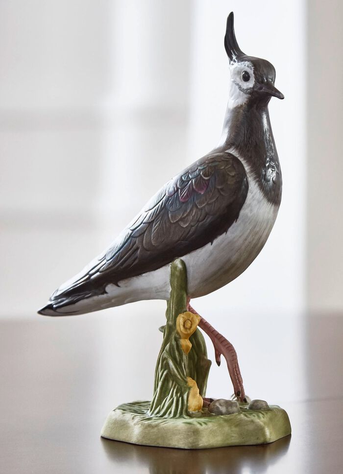 Vogel van het Jaar 2024 van Goebel KLEURRIJK