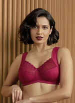 Anita reli&euml;fbeha KERSENROOD