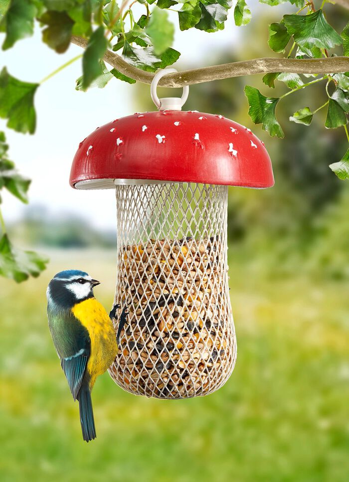 Voederstation voor vliegenzwammen 