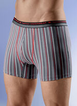 Set van vier boxershorts met streepjesmotief 