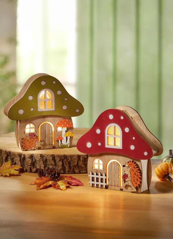 Verlicht paddestoelhuis 