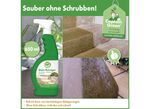 Stenenreiniger, 650 ml, van Captain Green 