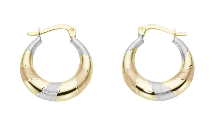 Charmante oorringen van 585/- fijn goud 