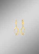 Interessante oorbellen met synthetische zirkonia 