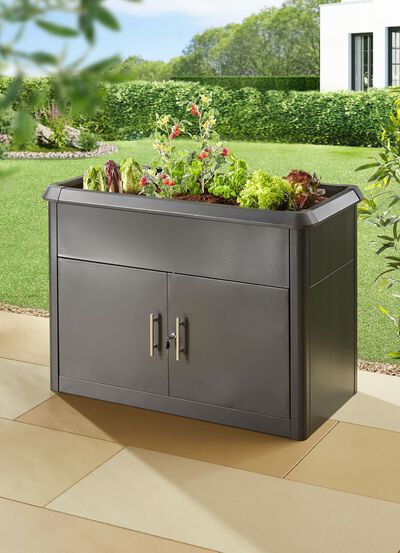 Verhoogde plantenbak "Zinnia" 