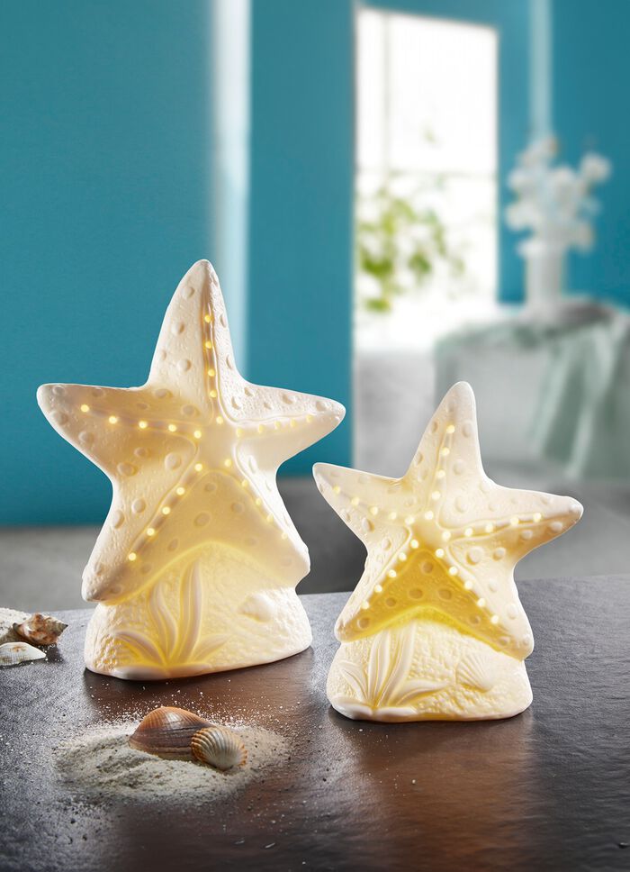 LED keramische zeester 