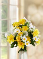 Narcissen madeliefjetak, set van 3 