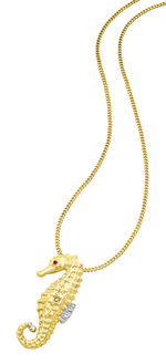 Zeepaardje-kettinghanger 