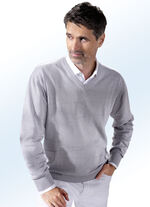 Trui met V-hals in 3 kleuren GRIJS GEM&Ecirc;LEERD
