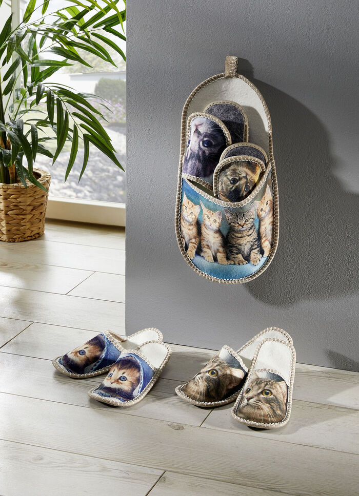 Slipper Opslag Kitten 