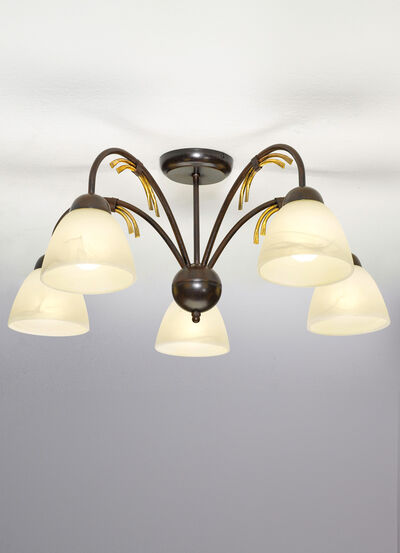 Plafondlamp met ijzeren frame 