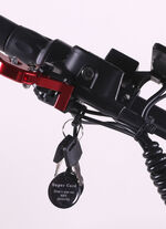 Maximus E-Cruiser - Het milieuvriendelijke alternatief voor de motorfiets 