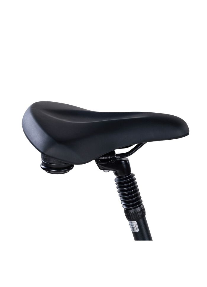 E-bike Comfort Plus 5.0 van Saxonette 