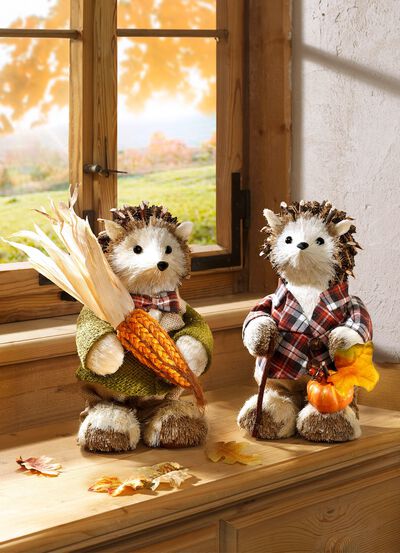 Egel gemaakt van raffia, natuurlijke kegels en hout 