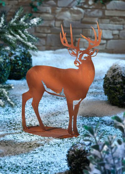 Hert Konrad van verroest plaatstaal 