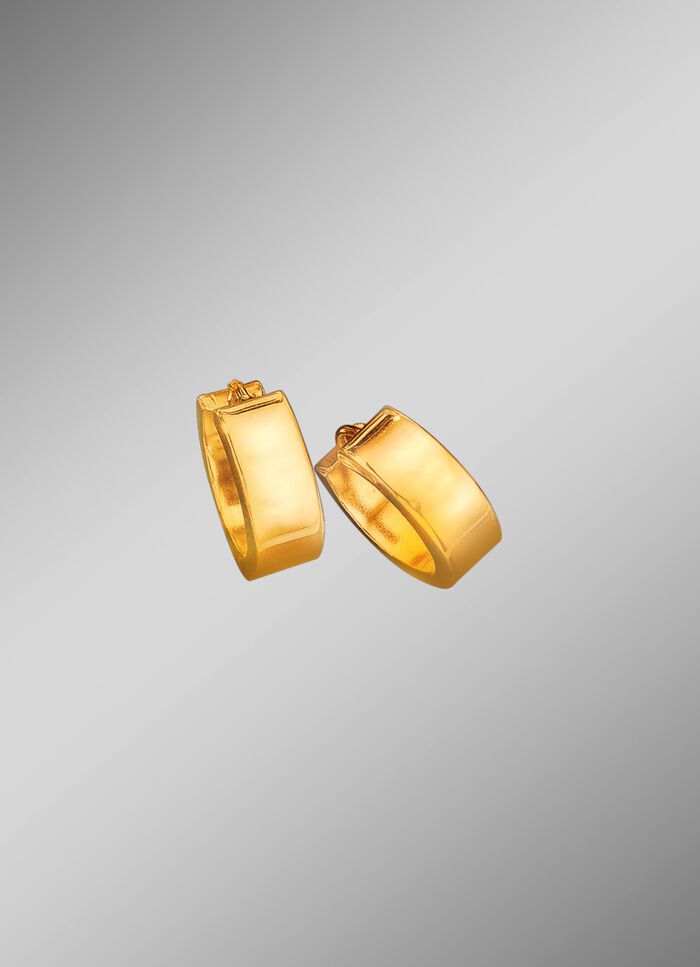 Hoogglanzende klapcreolen 