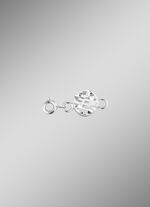 Magnetische sluiting met structuur en veerring