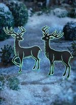 Hert, nachtlicht (terugkijkend) SCHWARZ