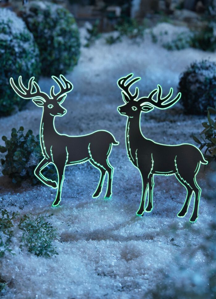 Hert, nachtlicht (terugkijkend) SCHWARZ