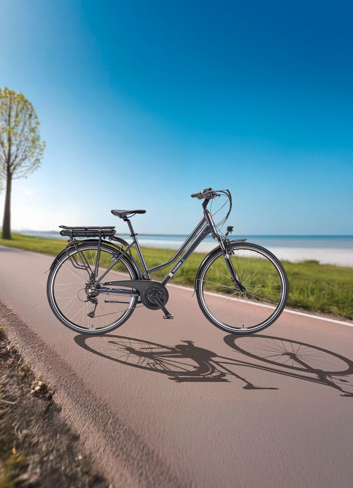 Telefunken XT485 elektrische trekkingfiets 