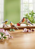 Vogelbeeldjes van hoogwaardig biscuitporselein KLEURRIJK