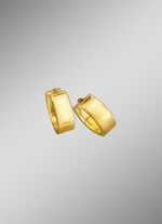 Hoogglanzende klapcreolen 