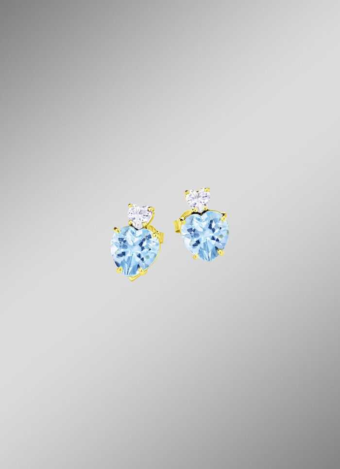 Elegante oorbellen 
