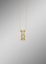 Prachtige hanger met diamanten 