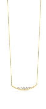 Aantrekkelijke ketting met 11 diamanten 