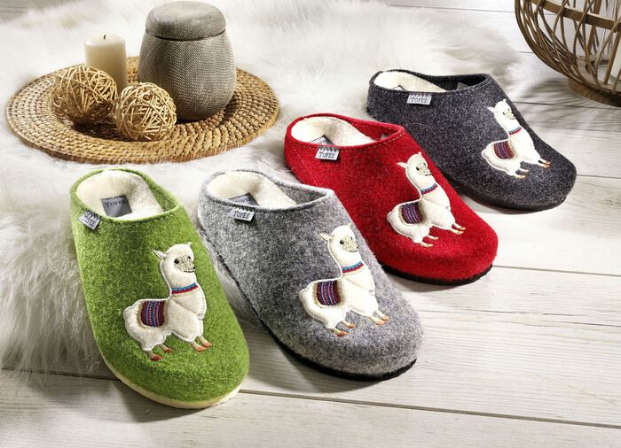 Pantoffels van wolvilt 