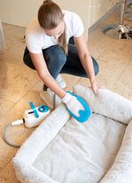 Livington SteamTouch stoomreiniger 