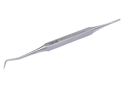 Tandenreiniger/prikker gemaakt van roestvrij staal 