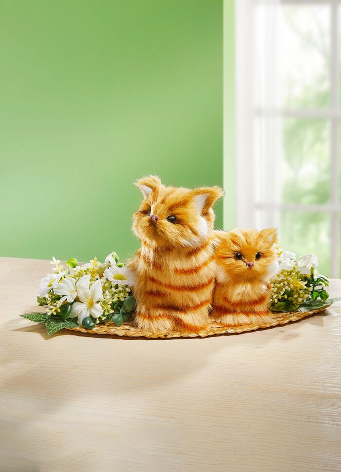 Tafelschikking katten 