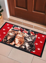 Voetmat met gecoate onderkant 