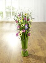 Natuurlijk ogend siergras 