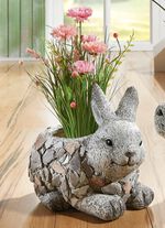 Bosje gras in magnesia pot 