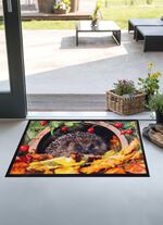 Deurmat met egelmotief 