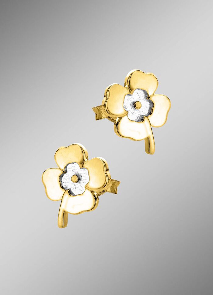 Tweekleurige klavertje-oorbellen 