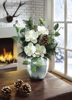 Orchidee&euml;nbloemstuk in appelpot 