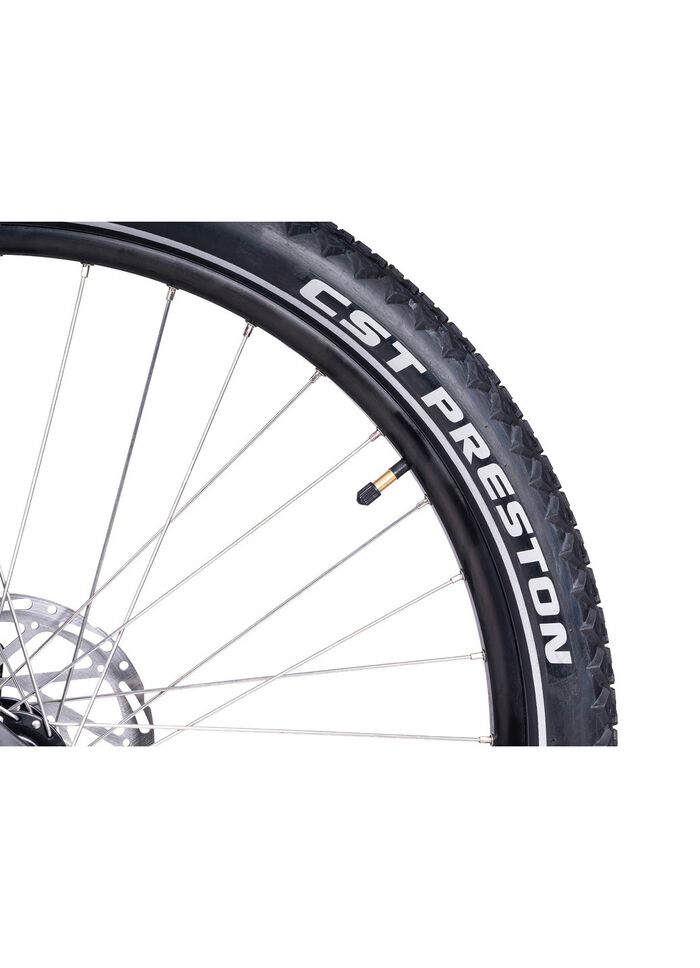 E-Bike Deluxe SUV Gemakkelijk 